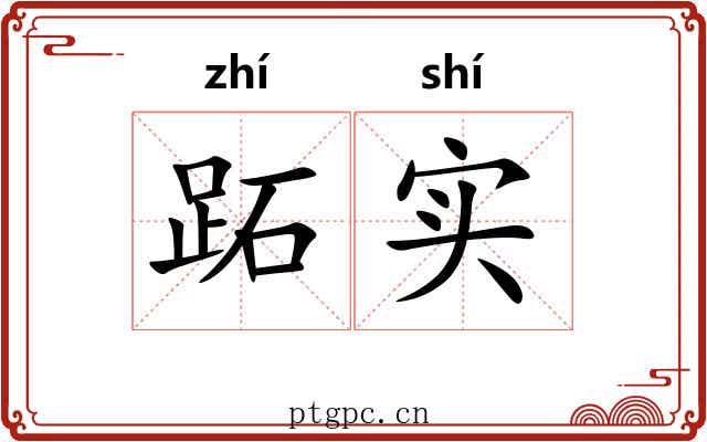 跖实