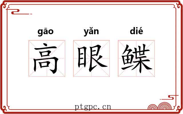 高眼鲽 高眼鲽