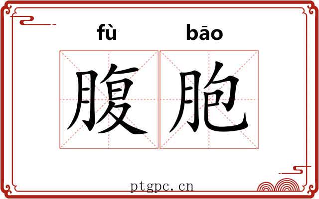 腹胞 腹胞