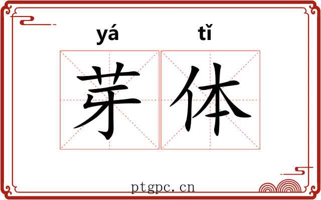 芽体