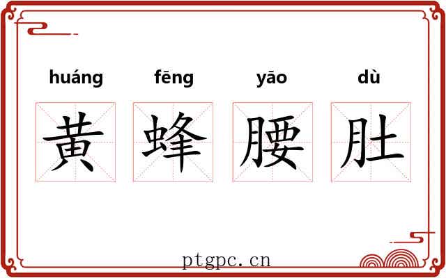 黄蜂腰肚