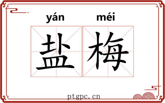 盐梅 盐梅