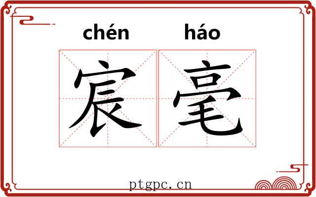 宸毫