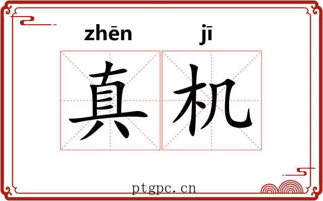 真机