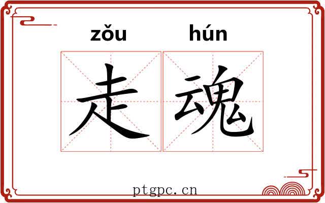 走魂 走魂