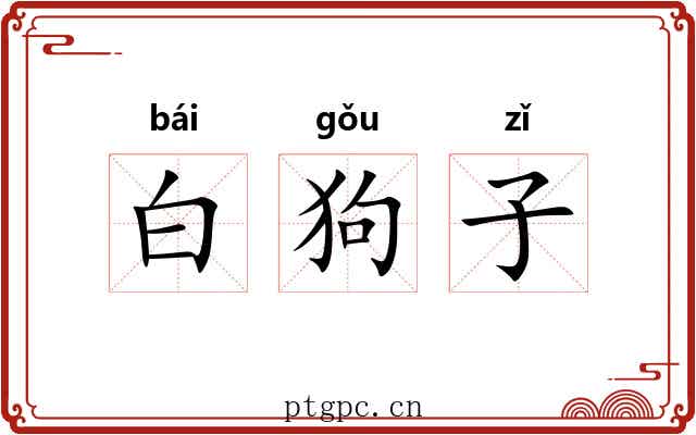 白狗子