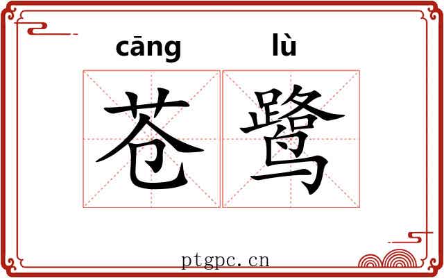 苍鹭