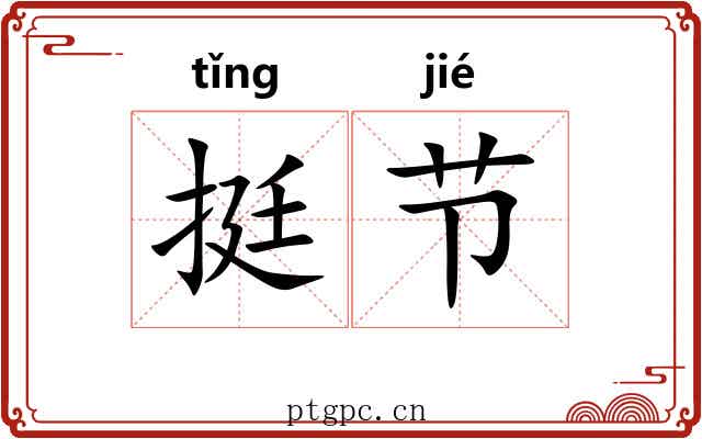 挺节
