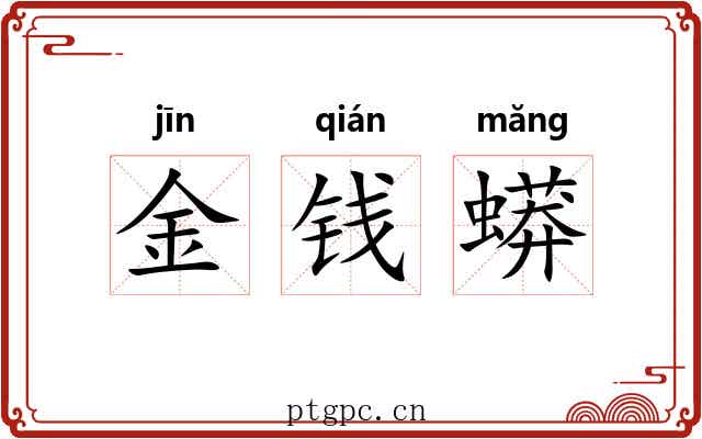 金钱蟒 金钱蟒