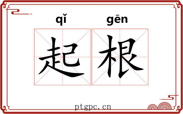 起根 起根