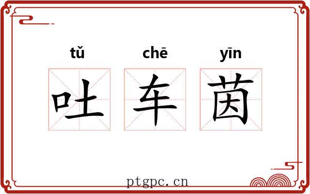 吐车茵 吐车茵