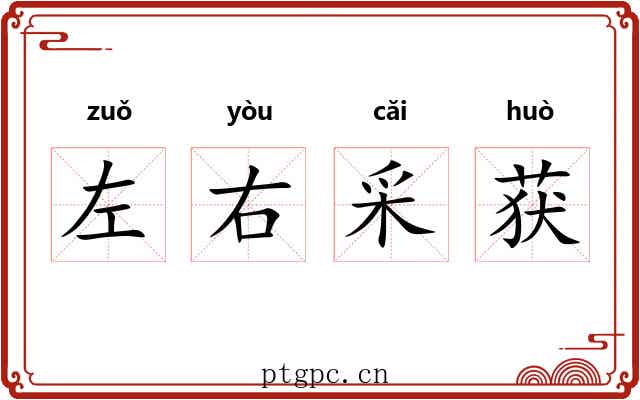 左右采获