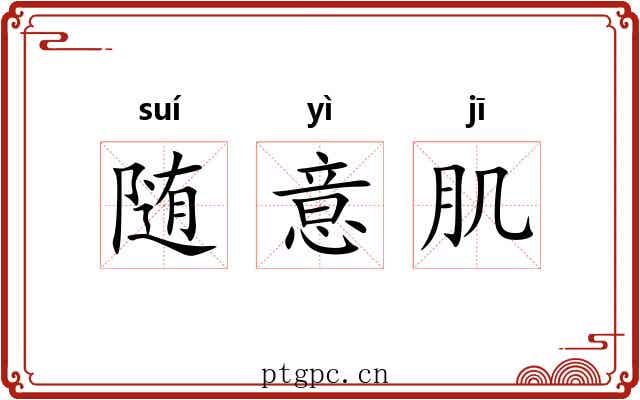 随意肌