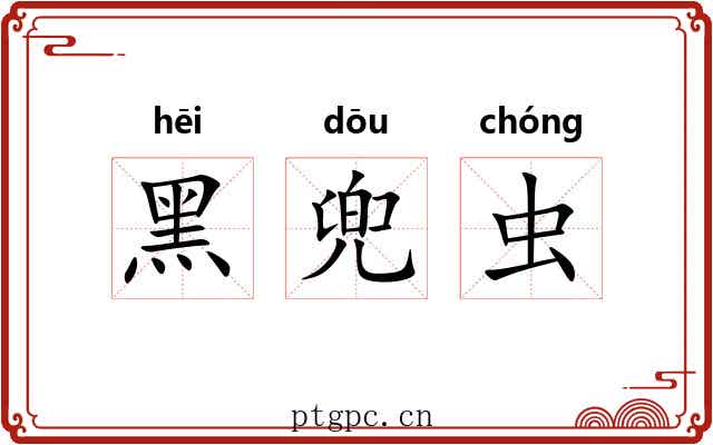 黑兜虫