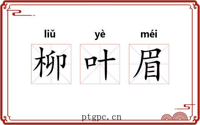 柳叶眉