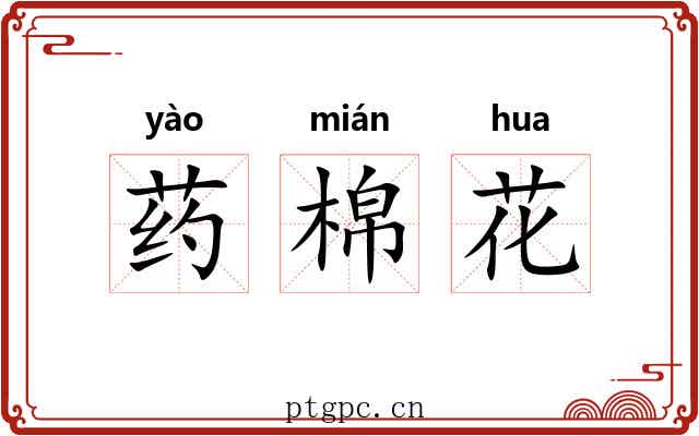 药棉花
