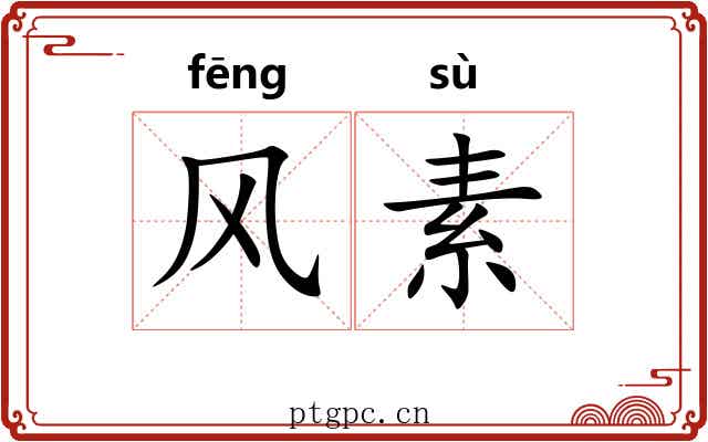 风素 风素