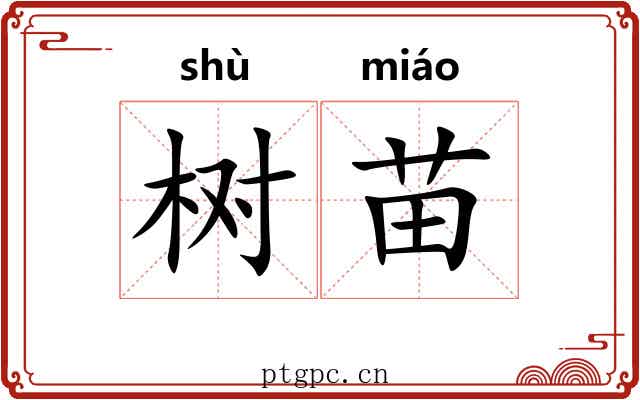 树苗