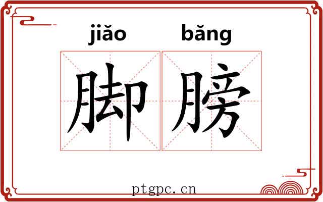 脚膀 脚膀