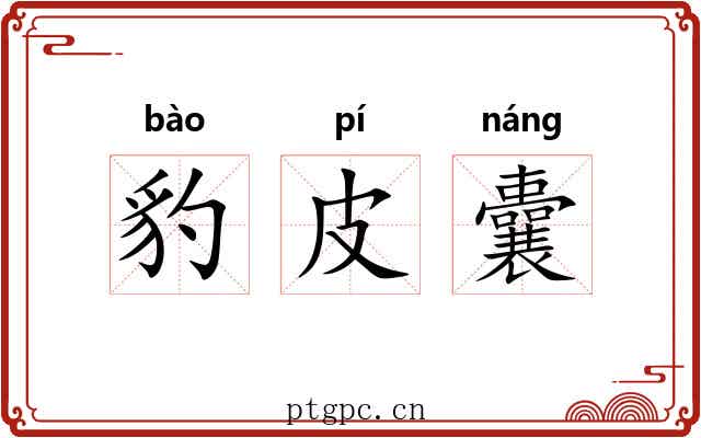 豹皮囊 豹皮囊
