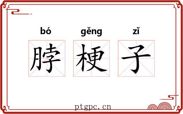 脖梗子 脖梗子