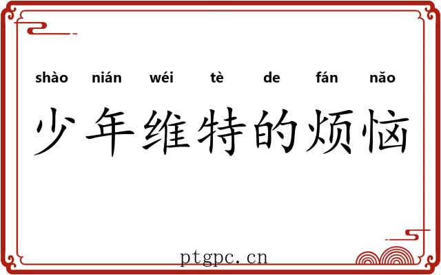 少年维特的烦恼 少年维特的烦恼