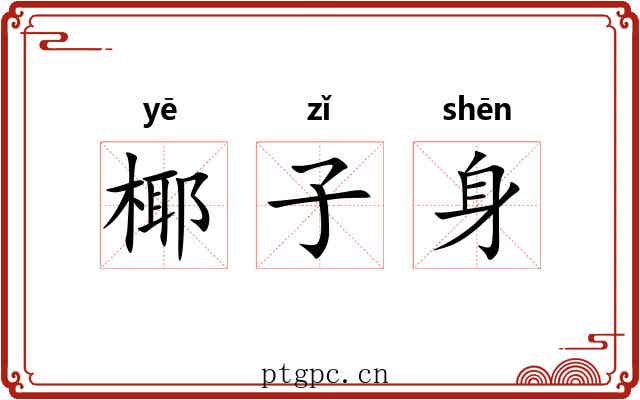 椰子身 椰子身