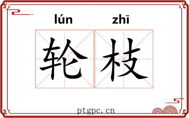 轮枝 轮枝