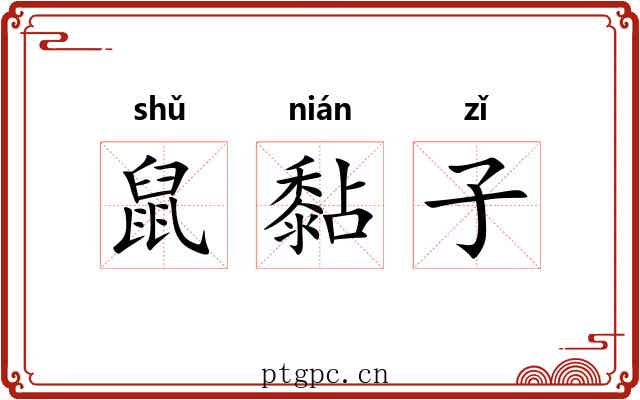 鼠黏子 鼠黏子