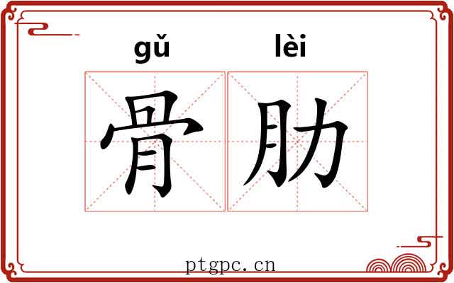 骨肋 骨肋