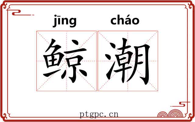 鲸潮