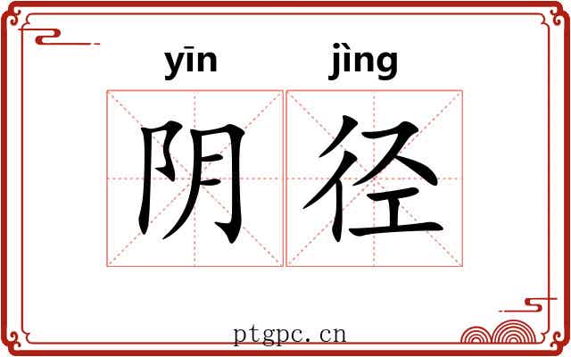 阴径