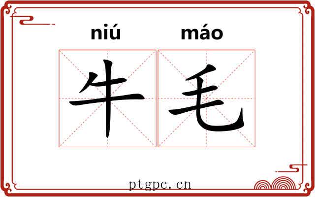 牛毛
