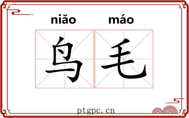 鸟毛