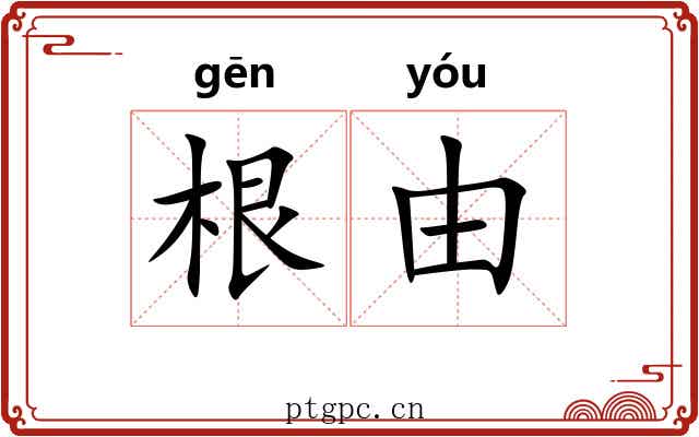 根由