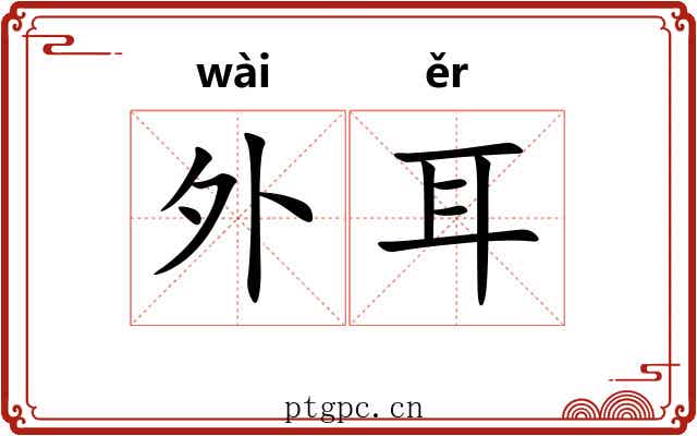 外耳