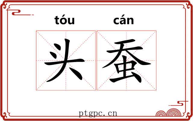 头蚕