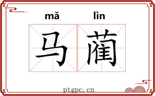 马蔺 马蔺