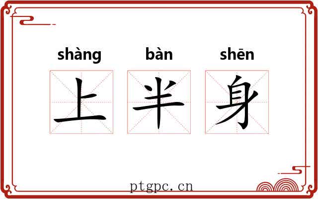 上半身 上半身