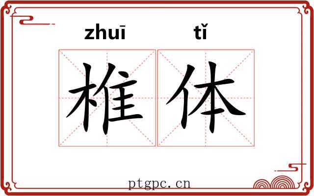 椎体 椎体
