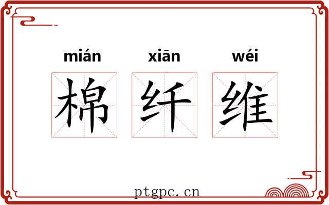 棉纤维 棉纤维