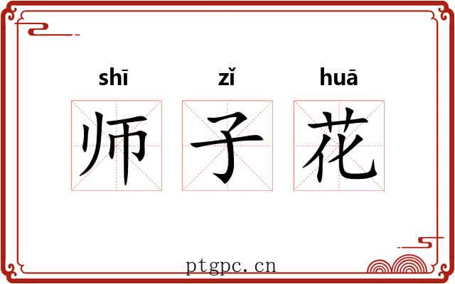 师子花 师子花