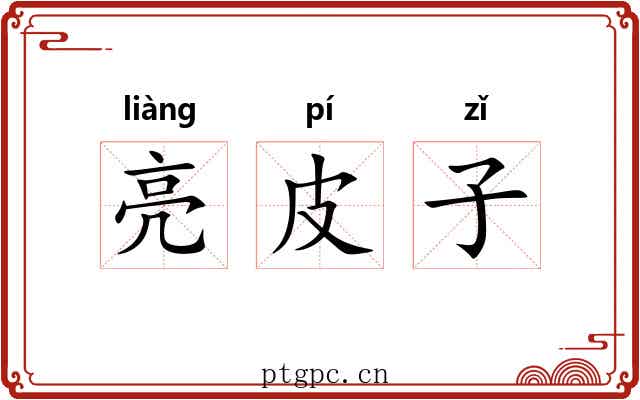亮皮子 亮皮子