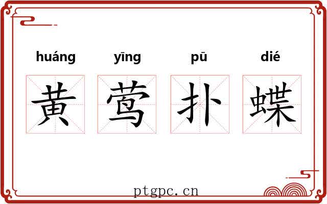 黄莺扑蝶