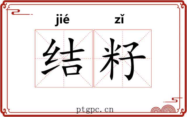 结籽