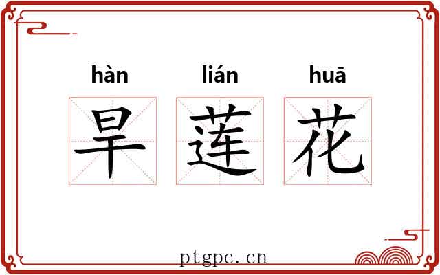 旱莲花