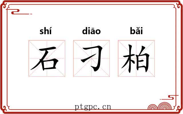 石刁柏 石刁柏