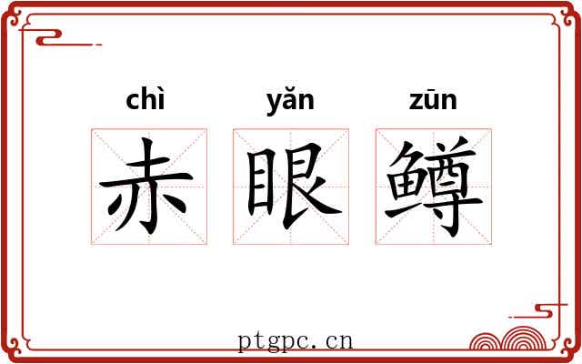 赤眼鳟