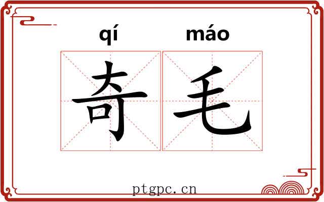奇毛 奇毛