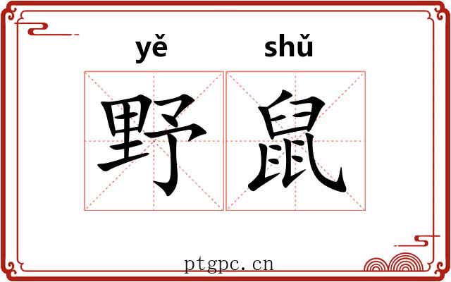野鼠